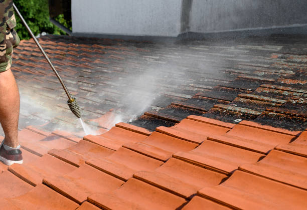 Best Pressure Washing Near Me  in Millbrook, AL