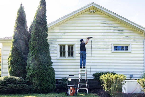 Best Roof Pressure Washing  in Millbrook, AL
