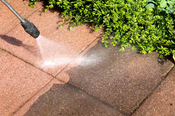 Best House Pressure Washing  in Millbrook, AL